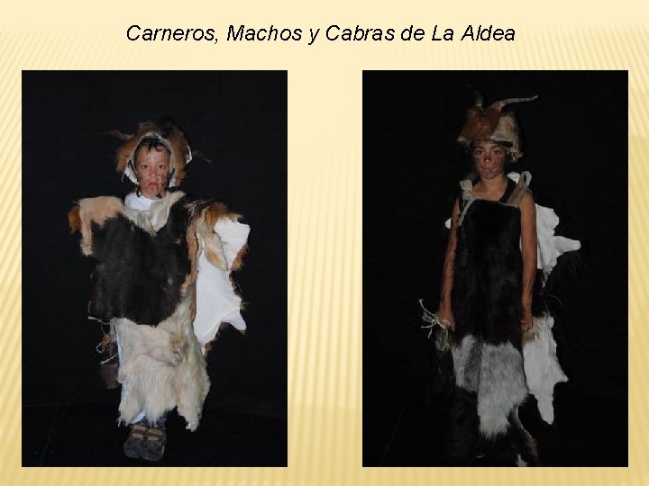 Carneros, Machos y Cabras de La Aldea Carneros, Machos y Cabras de La Aldea