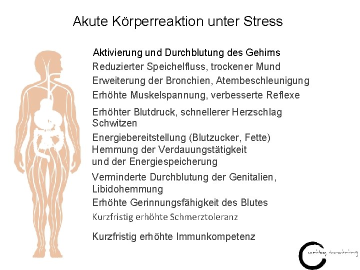 Akute Körperreaktion unter Stress Aktivierung und Durchblutung des Gehirns Reduzierter Speichelfluss, trockener Mund Erweiterung