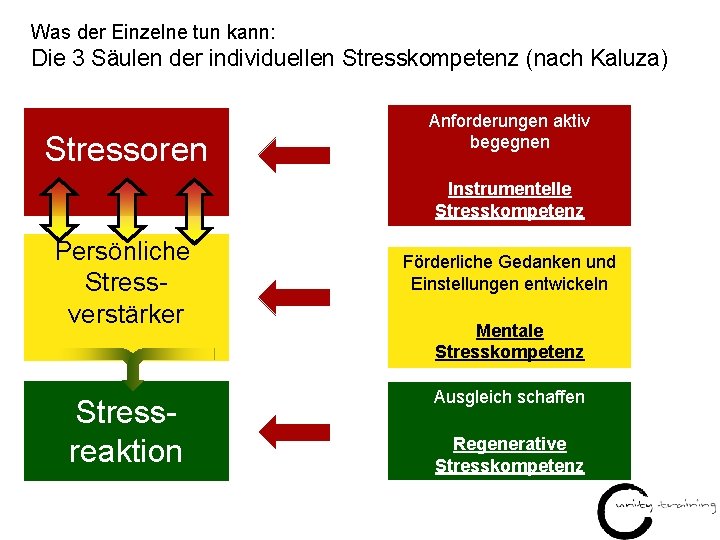 Was der Einzelne tun kann: Die 3 Säulen der individuellen Stresskompetenz (nach Kaluza) Stressoren