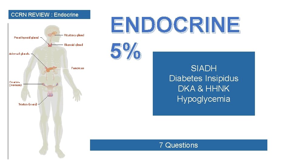 CCRN REVIEW : Endocrine ENDOCRINE 5% SIADH Diabetes Insipidus DKA & HHNK Hypoglycemia 7