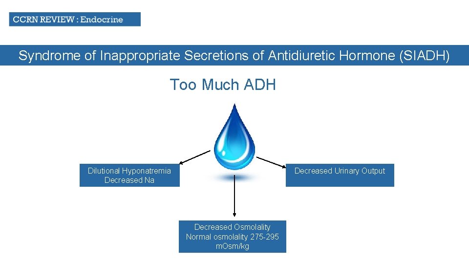 Syndrome of Inappropriate Secretions of Antidiuretic Hormone (SIADH) Too Much ADH Decreased Urinary Output