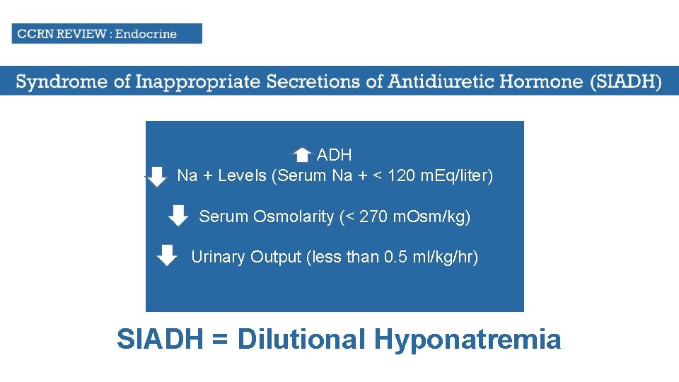 ADH Na + Levels (Serum Na + < 120 m. Eq/liter) Serum Osmolarity (<