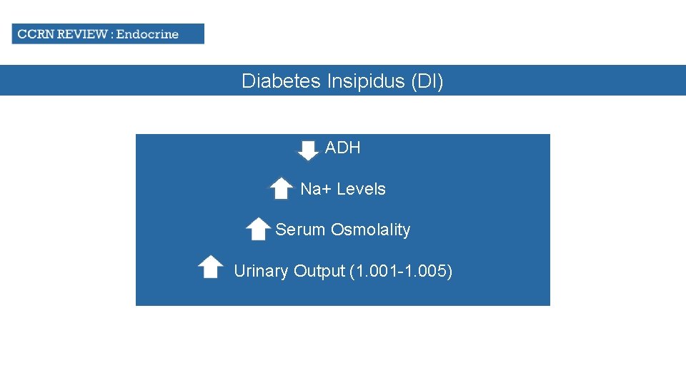 Diabetes Insipidus (DI) ADH Na+ Levels Serum Osmolality Urinary Output (1. 001 -1. 005)