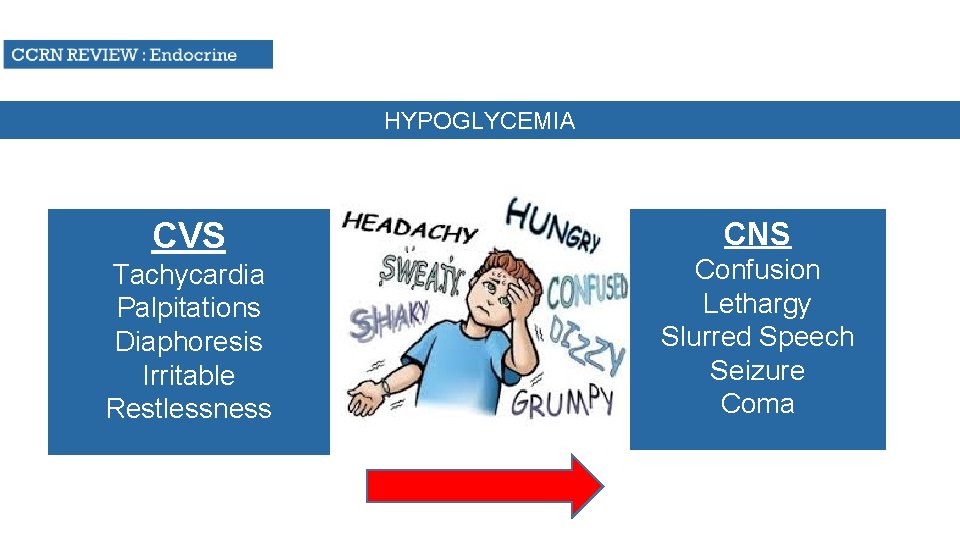HYPOGLYCEMIA CVS Tachycardia Palpitations Diaphoresis Irritable Restlessness CNS Confusion Lethargy Slurred Speech Seizure Coma