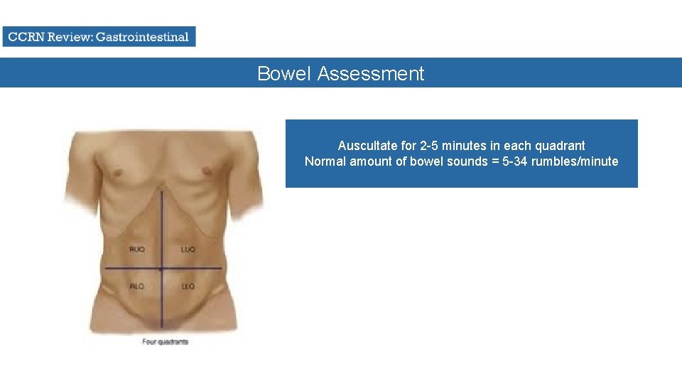 Bowel Assessment Auscultate for 2 -5 minutes in each quadrant Normal amount of bowel