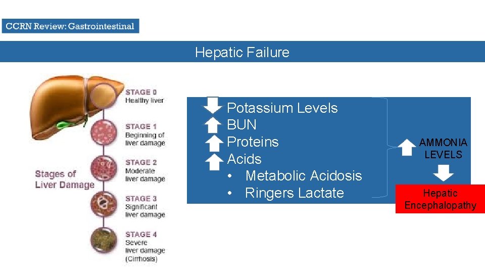 Hepatic Failure Potassium Levels BUN Proteins Acids • Metabolic Acidosis • Ringers Lactate AMMONIA