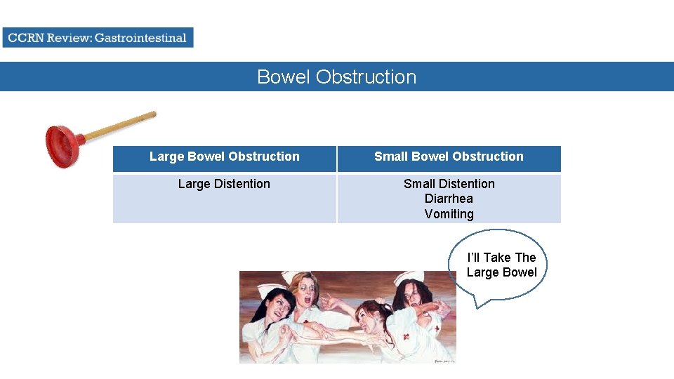 Bowel Obstruction Large Bowel Obstruction Small Bowel Obstruction Large Distention Small Distention Diarrhea Vomiting