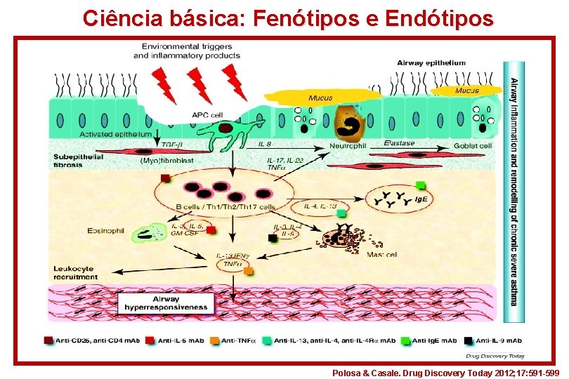 Ciência básica: Fenótipos e Endótipos Polosa & Casale. Drug Discovery Today 2012; 17: 591