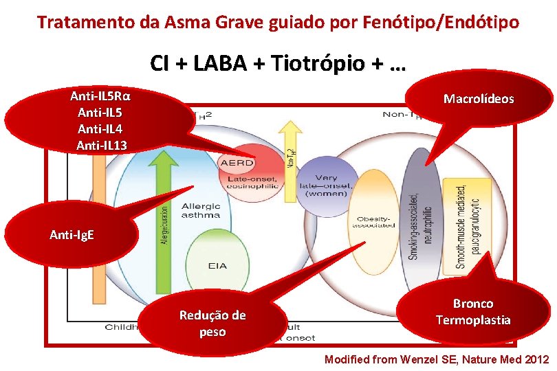 Tratamento da Asma Grave guiado por Fenótipo/Endótipo CI + LABA + Tiotrópio + …