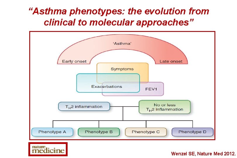 “Asthma phenotypes: the evolution from clinical to molecular approaches” Wenzel SE, Nature Med 2012.