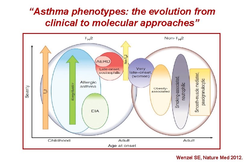 “Asthma phenotypes: the evolution from clinical to molecular approaches” Wenzel SE, Nature Med 2012.