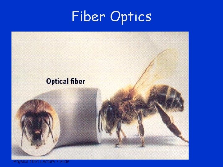 Fiber Optics Physics 1051 Lecture 7 Slide 