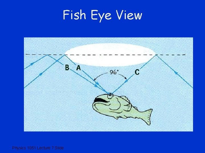 Fish Eye View Physics 1051 Lecture 7 Slide 