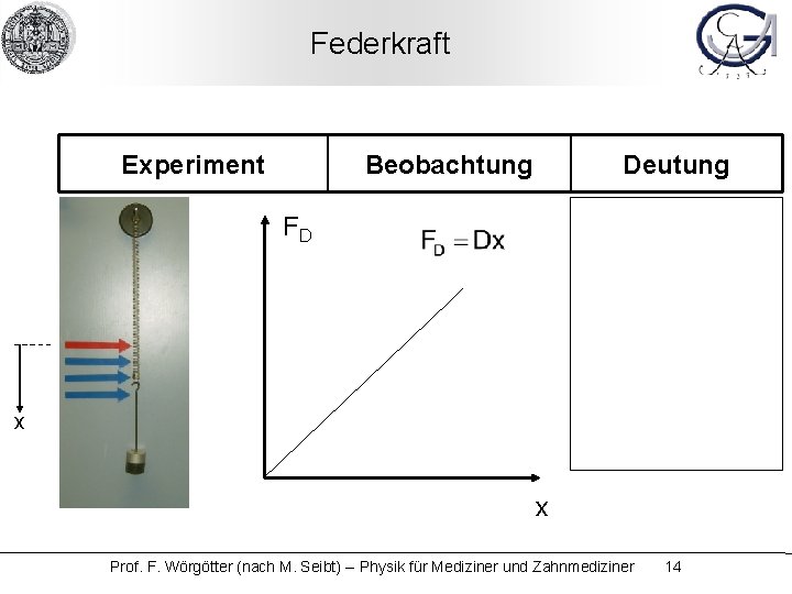 Federkraft Experiment Beobachtung Deutung FD x x Prof. F. Wörgötter (nach M. Seibt) --