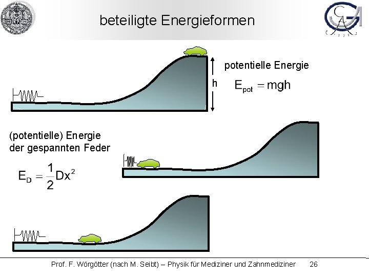 beteiligte Energieformen potentielle Energie h (potentielle) Energie der gespannten Feder Prof. F. Wörgötter (nach