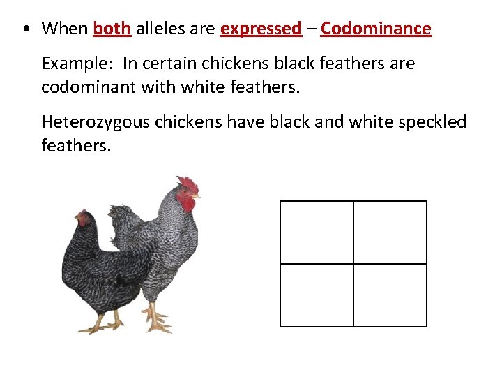  • When both alleles are expressed – Codominance Example: In certain chickens black