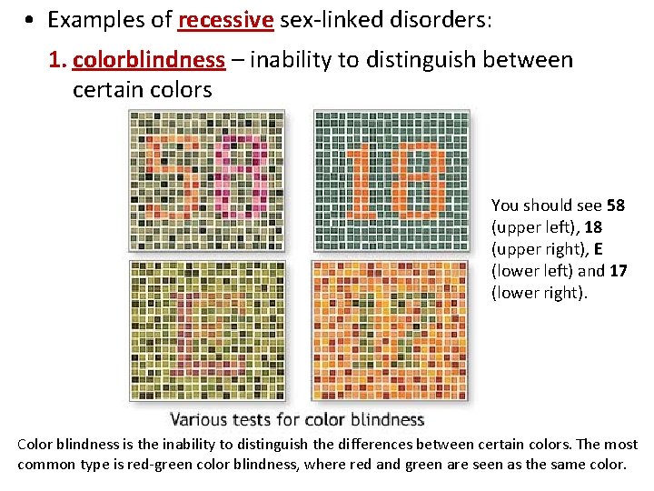  • Examples of recessive sex-linked disorders: 1. colorblindness – inability to distinguish between