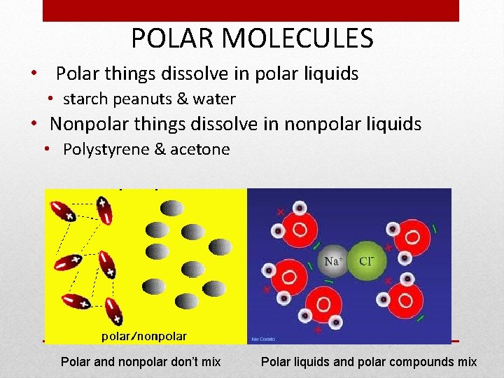 POLAR MOLECULES • Polar things dissolve in polar liquids • starch peanuts & water