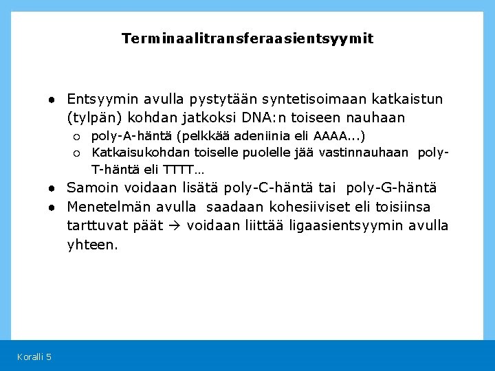 Terminaalitransferaasientsyymit ● Entsyymin avulla pystytään syntetisoimaan katkaistun (tylpän) kohdan jatkoksi DNA: n toiseen nauhaan