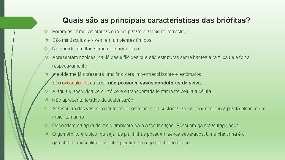 Quais são as principais características das briófitas? Foram as primeiras plantas que ocuparam o