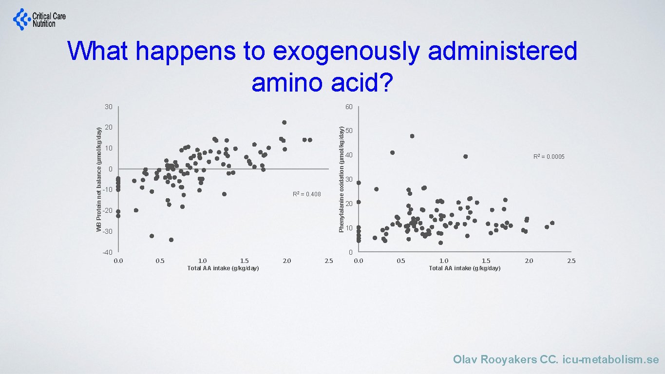 What happens to exogenously administered amino acid? 60 20 Phenylalanine oxidation (µmol/kg/day) WB Protein