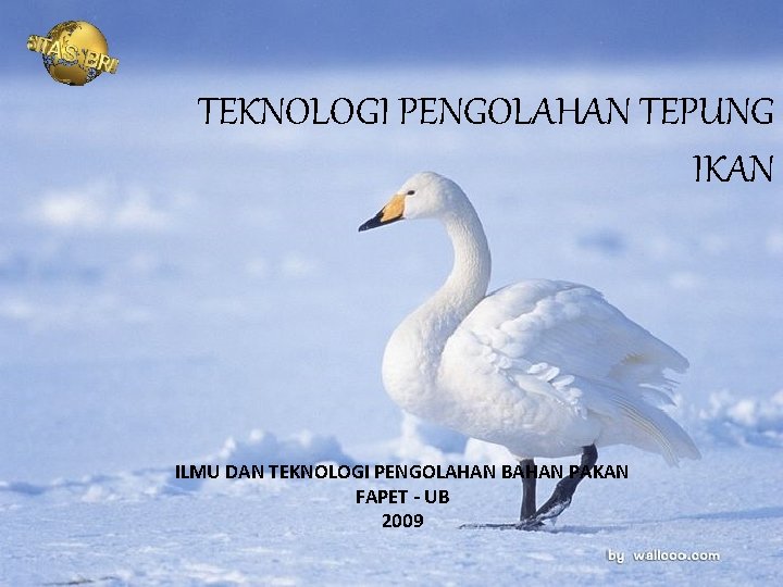 TEKNOLOGI PENGOLAHAN TEPUNG IKAN ILMU DAN TEKNOLOGI PENGOLAHAN BAHAN PAKAN FAPET - UB 2009