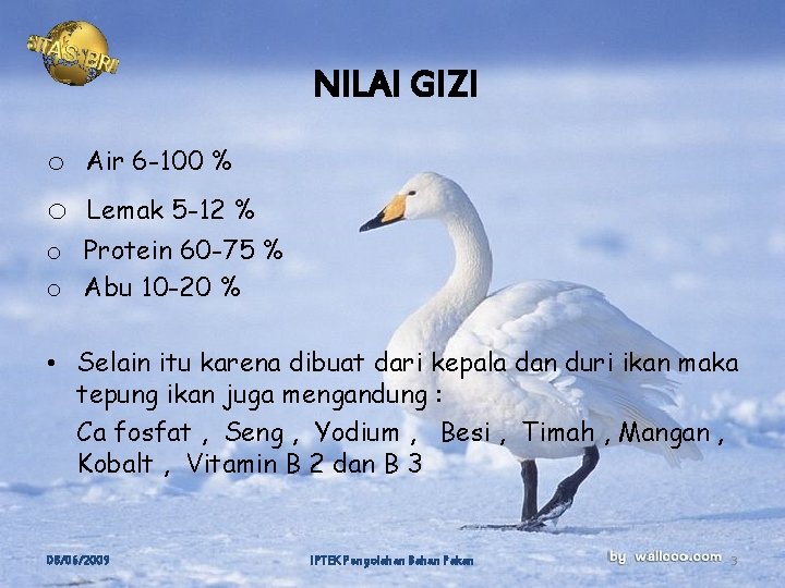 NILAI GIZI o Air 6 -100 % o Lemak 5 -12 % o Protein NILAI GIZI o Air 6 -100 % o Lemak 5 -12 % o Protein
