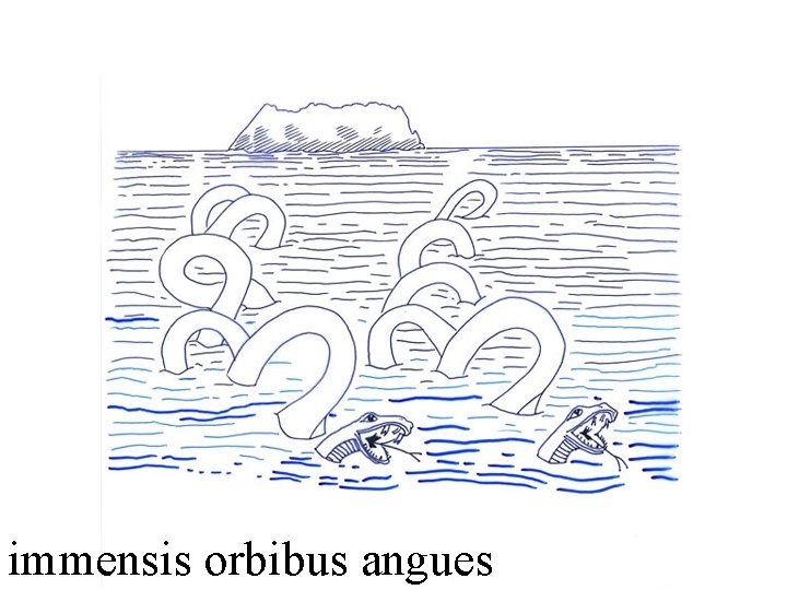 immensis orbibus angues 