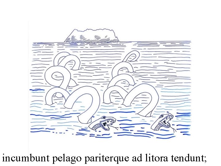 incumbunt pelago pariterque ad litora tendunt; 