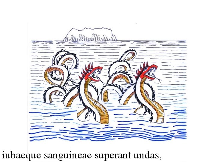 iubaeque sanguineae superant undas, 