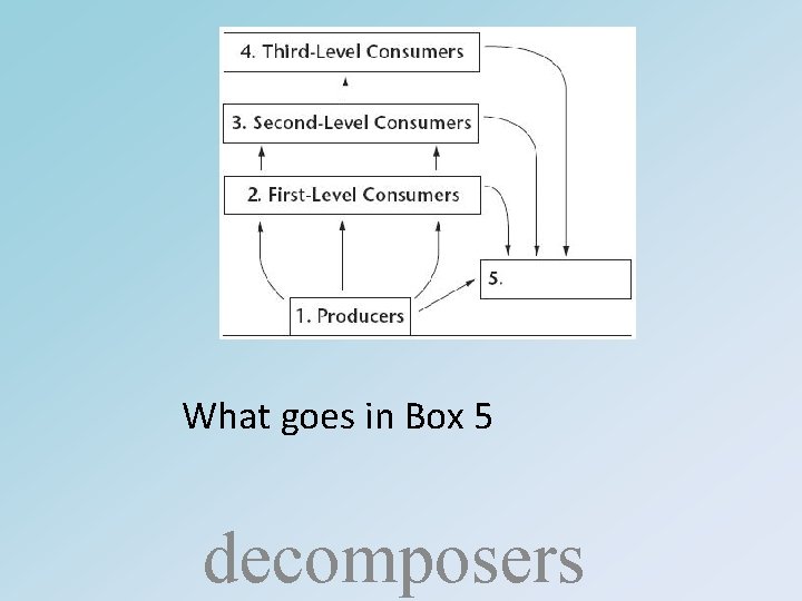 What goes in Box 5 decomposers 