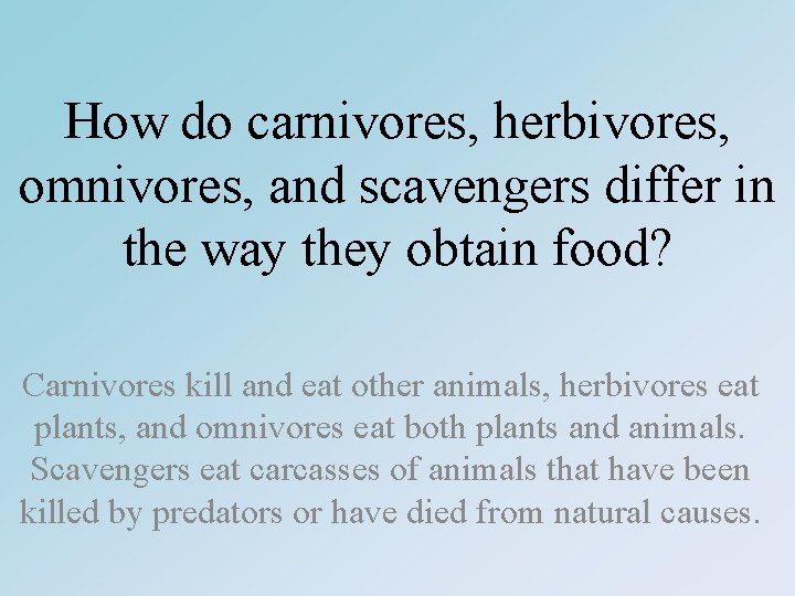 How do carnivores, herbivores, omnivores, and scavengers differ in the way they obtain food?