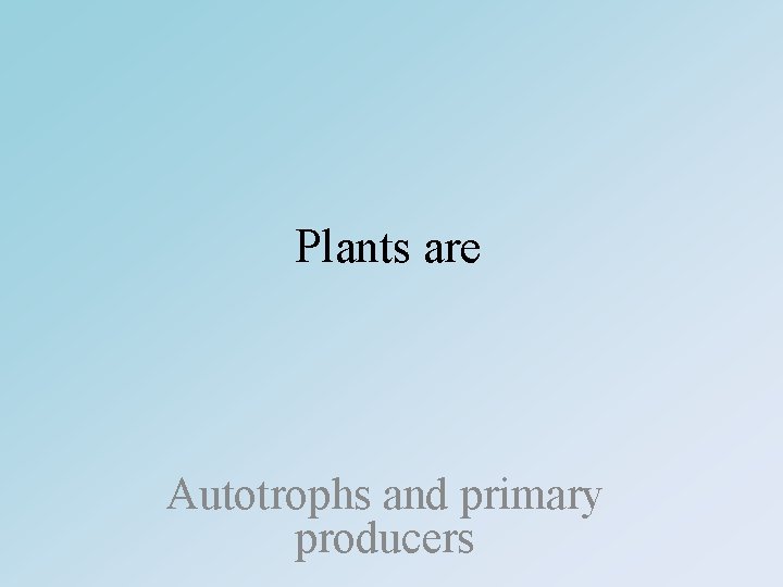 Plants are Autotrophs and primary producers 
