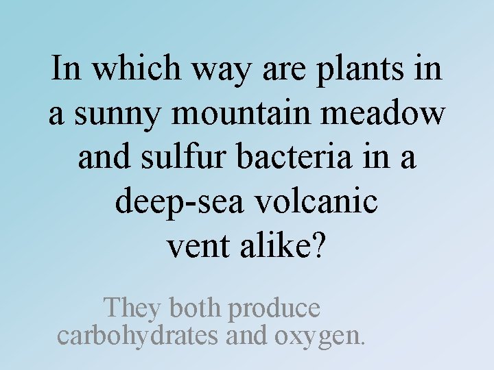 In which way are plants in a sunny mountain meadow and sulfur bacteria in