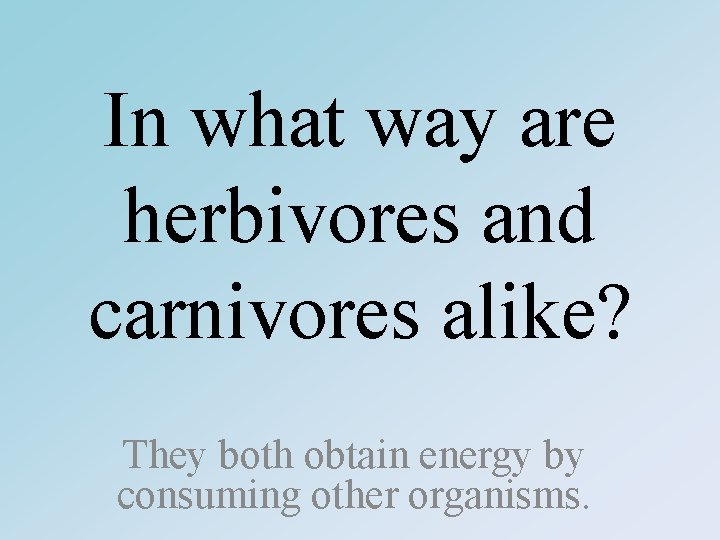 In what way are herbivores and carnivores alike? They both obtain energy by consuming