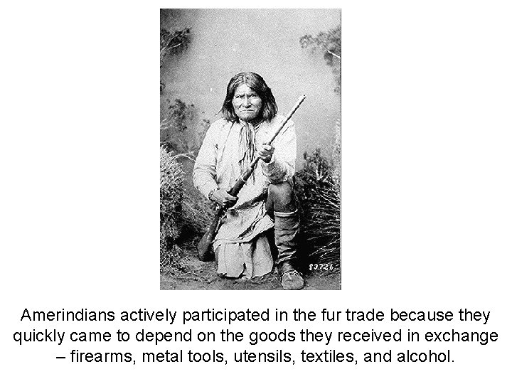 Amerindians actively participated in the fur trade because they quickly came to depend on