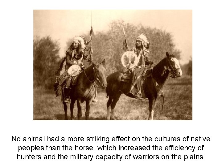 No animal had a more striking effect on the cultures of native peoples than