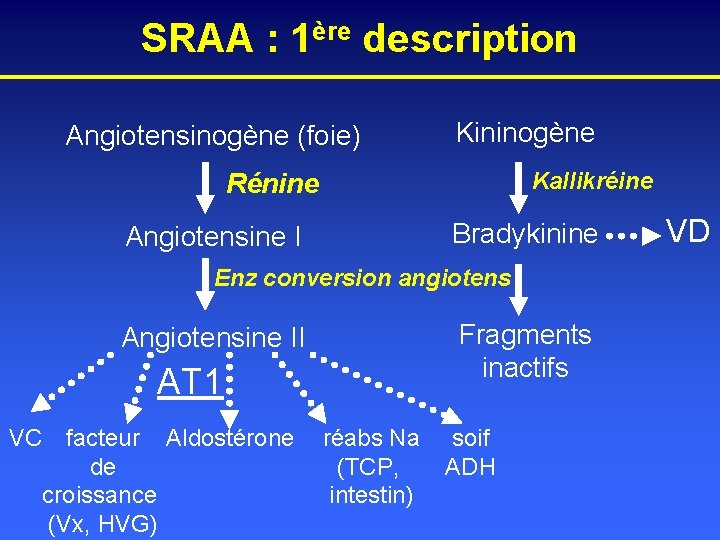 SRAA : 1ère description Angiotensinogène (foie) Kininogène Kallikréine Rénine Bradykinine Angiotensine I Enz conversion
