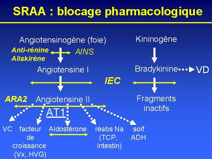 SRAA : blocage pharmacologique Angiotensinogène (foie) Anti-rénine AINS Kininogène Aliskirène Bradykinine Angiotensine I IEC