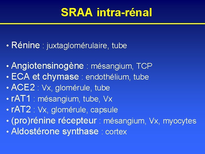 SRAA intra-rénal • Rénine : juxtaglomérulaire, tube • Angiotensinogène : mésangium, TCP • ECA