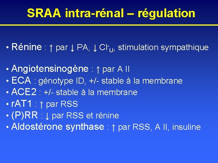 SRAA intra-rénal – régulation • Rénine : ↑ par ↓ PA, ↓ Cl-U, stimulation