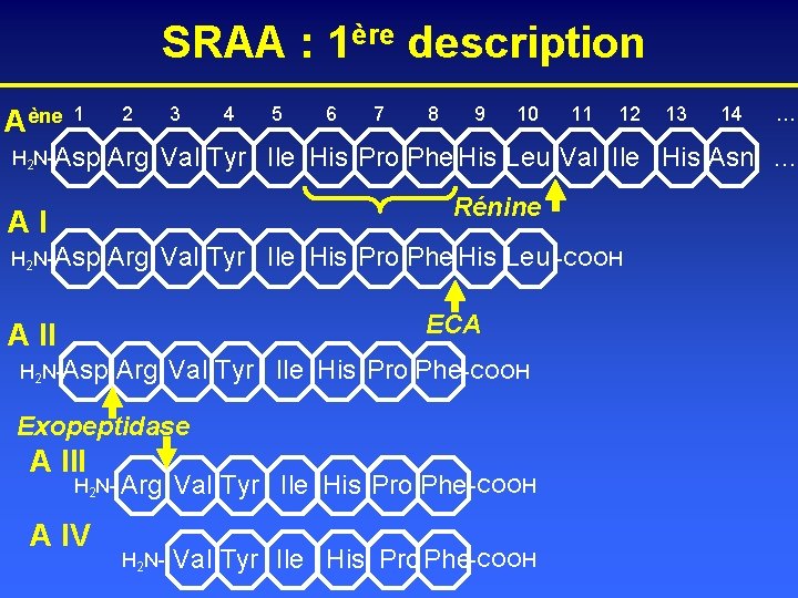 SRAA : 1ère description Aène 1 2 H 2 N-Asp Arg 3 4 5