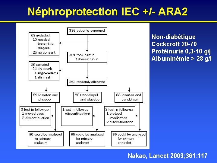 Néphroprotection IEC +/- ARA 2 Non-diabétique Cockcroft 20 -70 Protéinurie 0, 3 -10 g/j