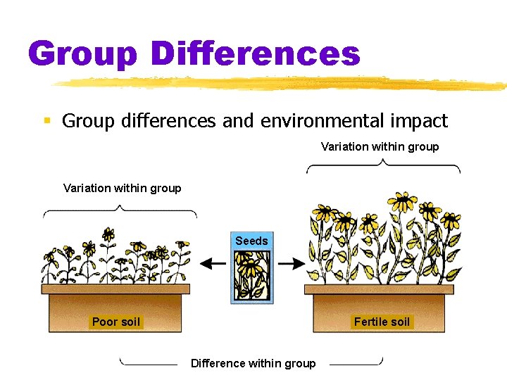 Group Differences § Group differences and environmental impact Variation within group Seeds Poor soil