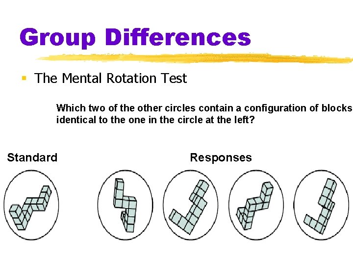 Group Differences § The Mental Rotation Test Which two of the other circles contain