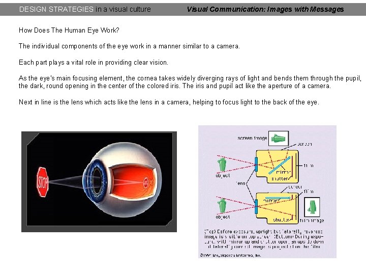 DESIGN STRATEGIES in a visual culture Visual Communication: Images with Messages How Does The DESIGN STRATEGIES in a visual culture Visual Communication: Images with Messages How Does The
