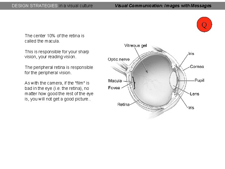 DESIGN STRATEGIES in a visual culture Visual Communication: Images with Messages Q The center