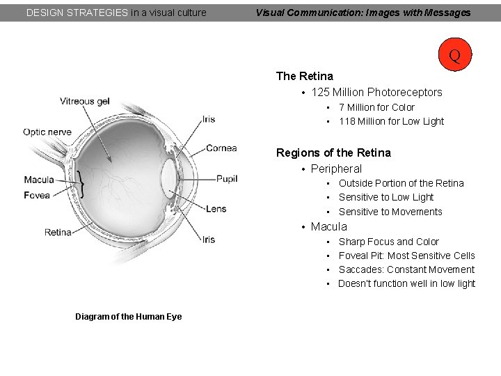 DESIGN STRATEGIES in a visual culture Visual Communication: Images with Messages Q The Retina DESIGN STRATEGIES in a visual culture Visual Communication: Images with Messages Q The Retina