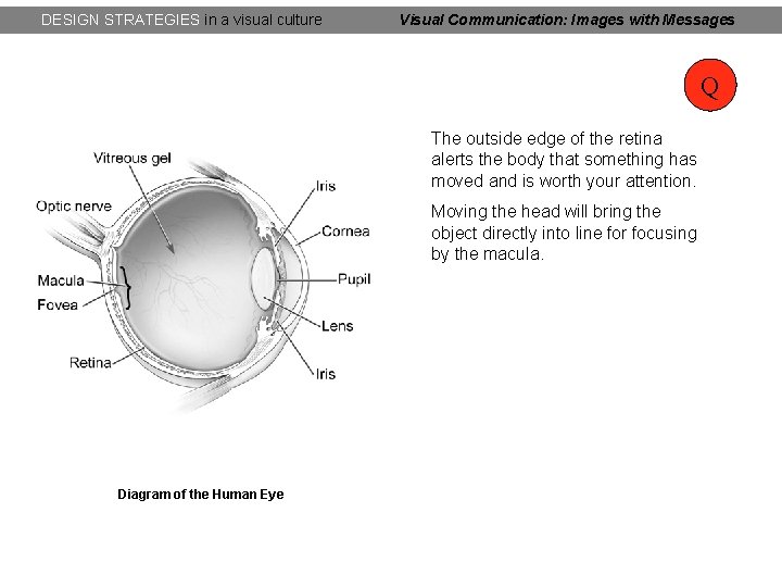 DESIGN STRATEGIES in a visual culture Visual Communication: Images with Messages Q The outside