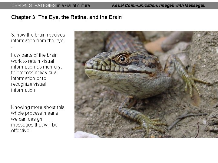 DESIGN STRATEGIES in a visual culture Visual Communication: Images with Messages Chapter 3: The DESIGN STRATEGIES in a visual culture Visual Communication: Images with Messages Chapter 3: The